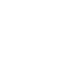 RECLine™