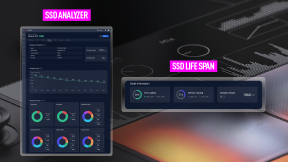 SSD LIFESPAN AND USAGE ANALYSIS