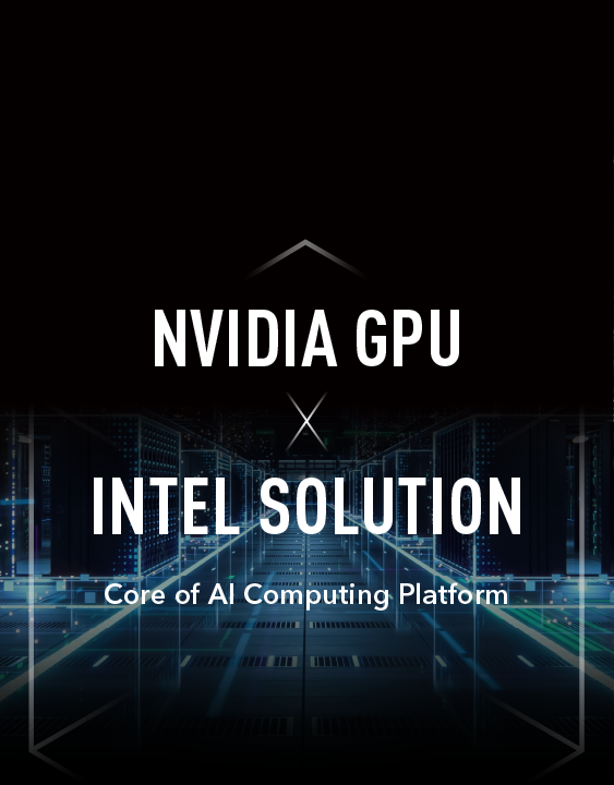 英伟达 GPU 与英特尔解决方案