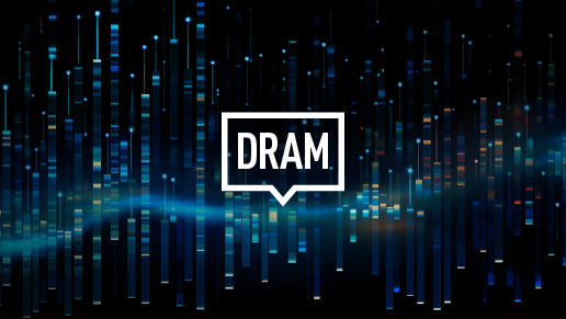 Easy-to-access DRAM Information